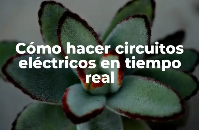 Cómo Hacer Circuitos Eléctricos en Tiempo Real