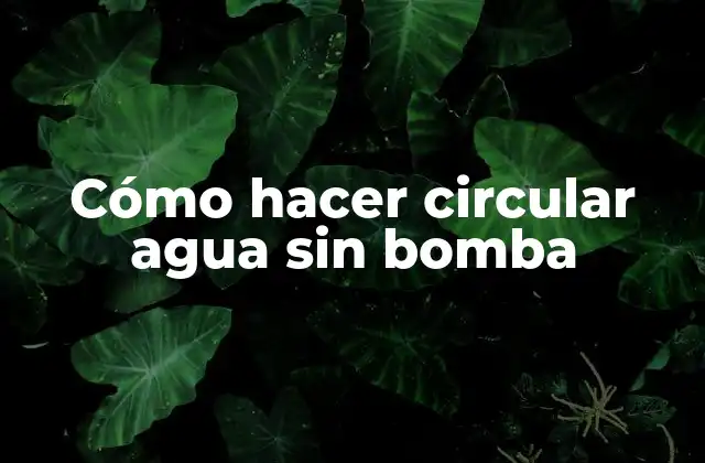 Cómo Hacer Circular Agua sin Bomba 2 Cómo hacer circular agua sin bomba