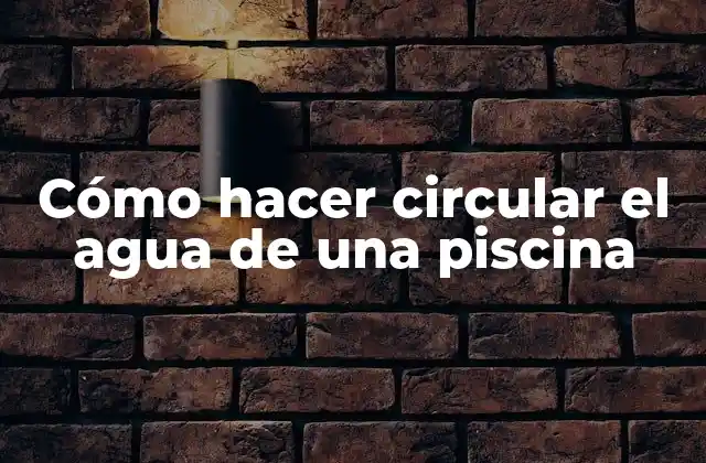 Cómo Hacer Circular el Agua de una Piscina