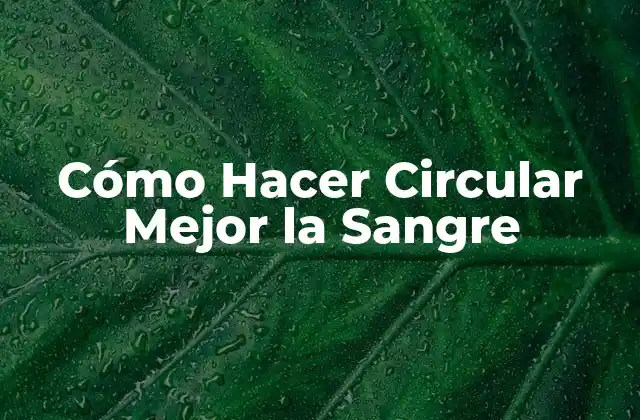 Cómo Hacer Circular Mejor la Sangre 2 Cómo Hacer Circular Mejor la Sangre