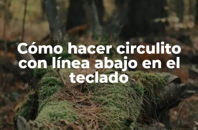 Cómo Hacer Circulito con Línea Abajo en el Teclado