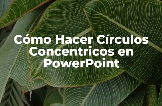 Cómo Hacer Círculos Concentricos en Powerpoint 2 Qué son los Círculos Concentricos en PowerPoint
