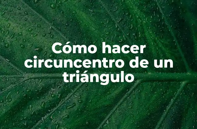 Cómo Hacer Circuncentro de un Triángulo