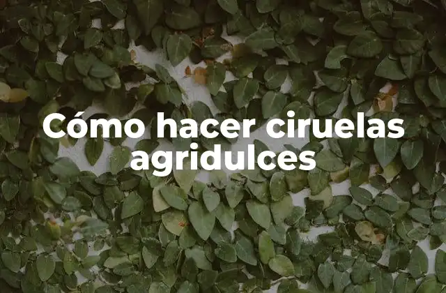 ¿Qué son ciruelas agridulces y para qué sirven?