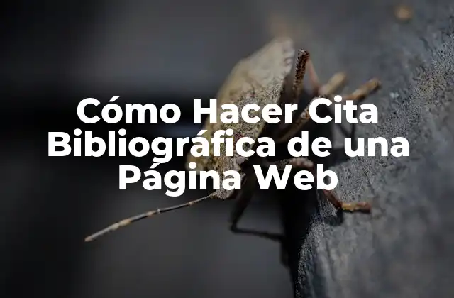 Cómo Hacer Cita Bibliográfica de una Página Web