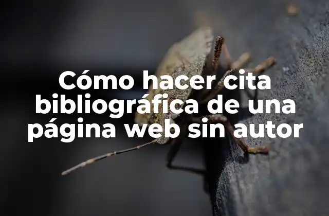Cómo Hacer Cita Bibliográfica de una Página Web sin Autor