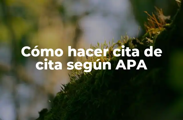 Cómo Hacer Cita de Cita según Apa