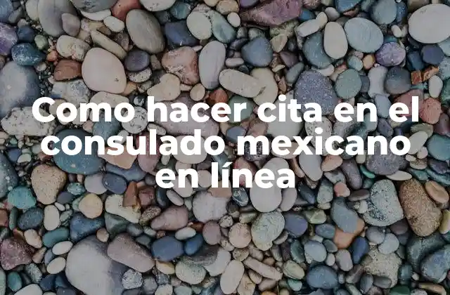 Como Hacer Cita en el Consulado Mexicano en Línea