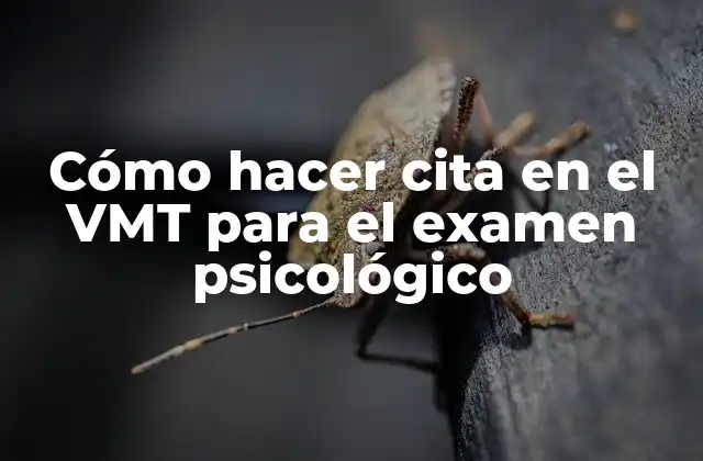 Cómo Hacer Cita en el Vmt para el Examen Psicológico