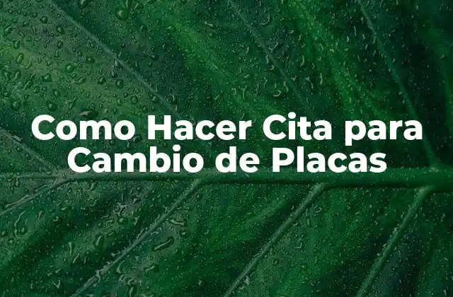 Como Hacer Cita para Cambio de Placas