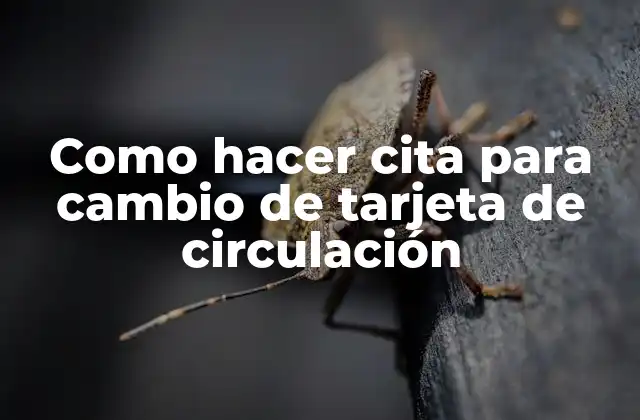 Como Hacer Cita para Cambio de Tarjeta de Circulación