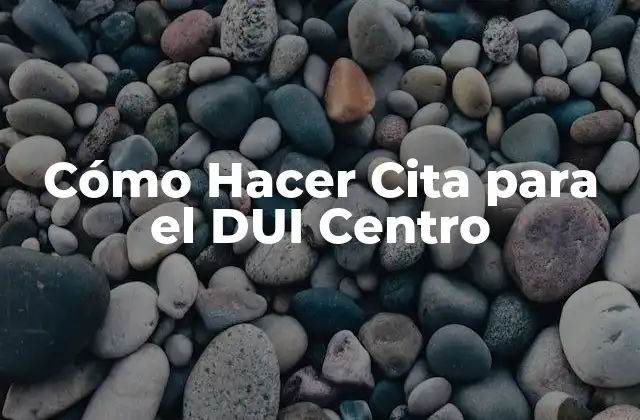 ¿Qué es el Centro de DUI y para Qué Sirve?