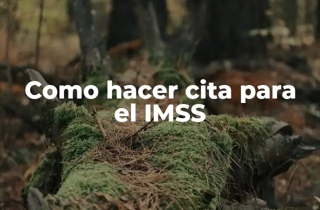 Como Hacer Cita para el Imss