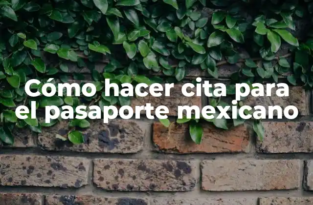 Cómo Hacer Cita para el Pasaporte Mexicano