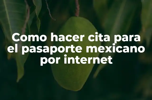 Como Hacer Cita para el Pasaporte Mexicano por Internet