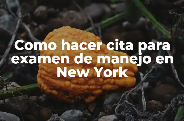 Como Hacer Cita para Examen de Manejo en New York