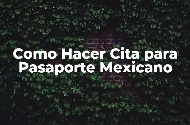 Como Hacer Cita para Pasaporte Mexicano