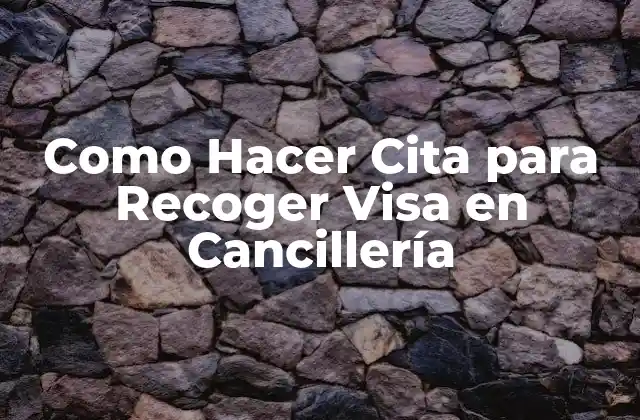Como Hacer Cita para Recoger Visa en Cancillería
