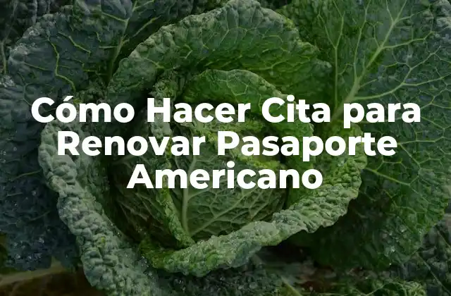 Cómo Hacer Cita para Renovar Pasaporte Americano