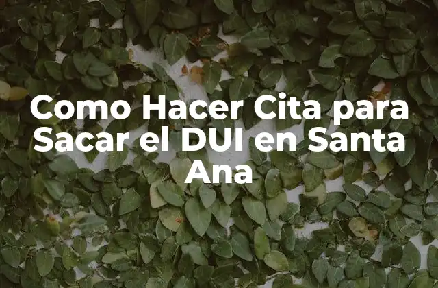 Como Hacer Cita para Sacar el Dui en Santa Ana