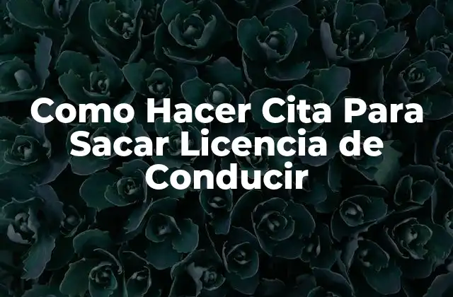 Como Hacer Cita para Sacar Licencia de Conducir