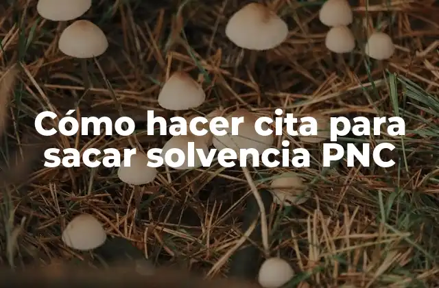 Cómo Hacer Cita para Sacar Solvencia Pnc