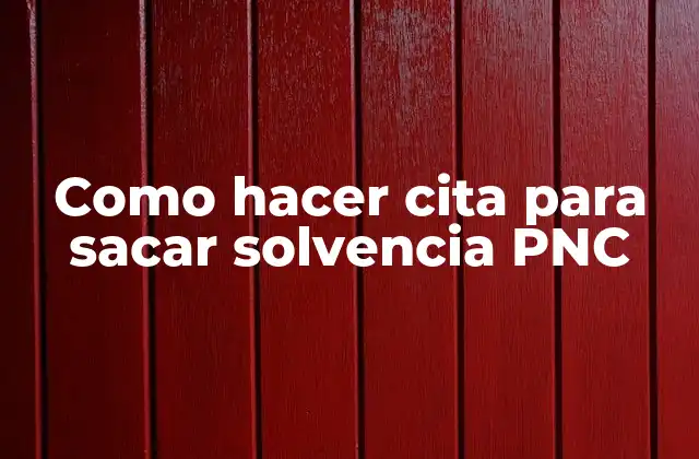 Como Hacer Cita para Sacar Solvencia Pnc
