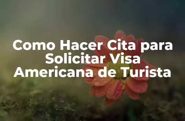 Como Hacer Cita para Solicitar Visa Americana de Turista
