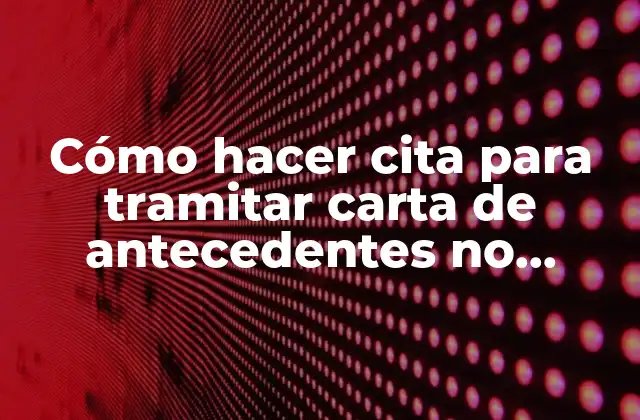 Cómo Hacer Cita para Tramitar Carta de Antecedentes No Penales