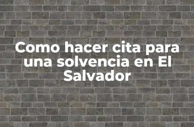 Como Hacer Cita para una Solvencia en el Salvador