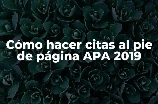 Cómo Hacer Citas Al Pie de Página Apa 2019
