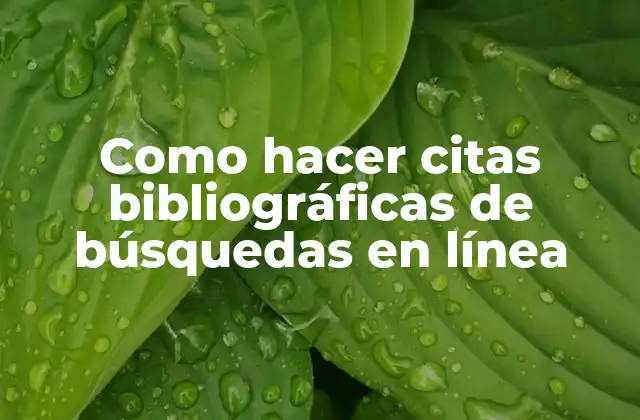 Como Hacer Citas Bibliográficas de Búsquedas en Línea