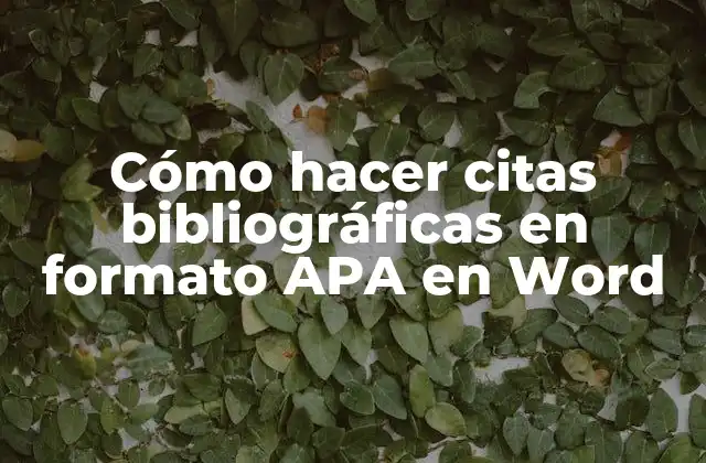 Cómo Hacer Citas Bibliográficas en Formato Apa en Word