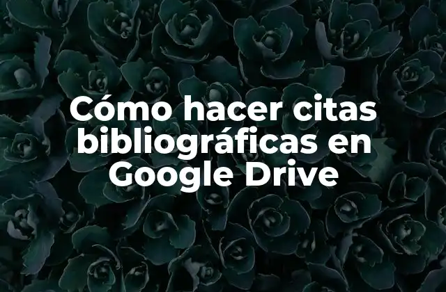 Cómo Hacer Citas Bibliográficas en Google Drive