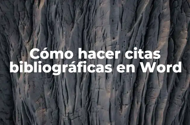Cómo Hacer Citas Bibliográficas en Word