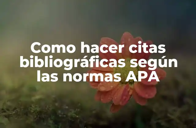 Como Hacer Citas Bibliográficas según las Normas Apa