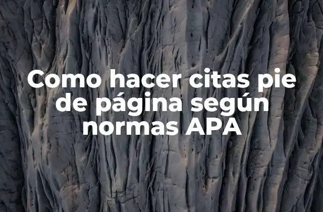Como Hacer Citas Pie de Página según Normas Apa