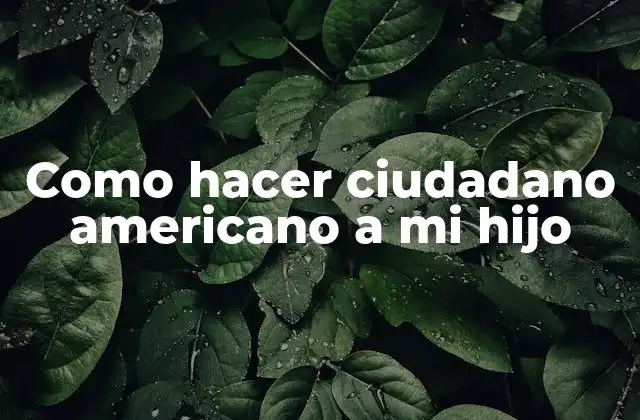 Como Hacer Ciudadano Americano a Mi Hijo