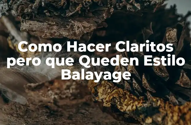 Como Hacer Claritos pero que Queden Estilo Balayage