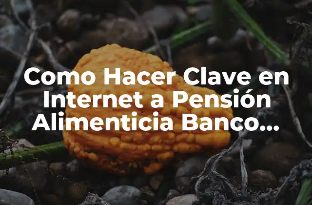 Como Hacer Clave en Internet a Pensión Alimenticia Banco Estado