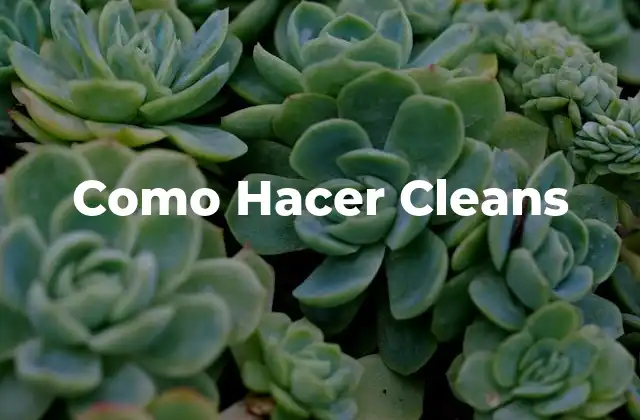 Como Hacer Cleans