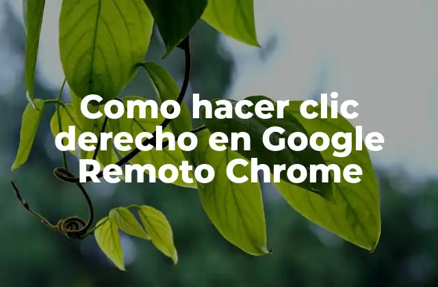 Como hacer clic derecho en Google Remoto Chrome