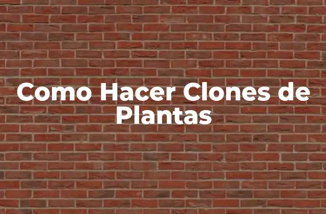 Como Hacer Clones de Plantas 2 Qué es Clonar Plantas