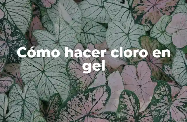 Cómo Hacer Cloro en Gel