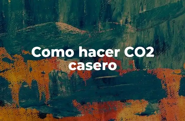 Como hacer CO2 casero