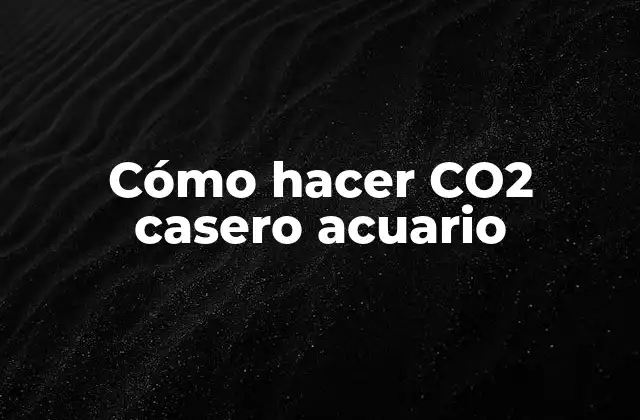 Cómo Hacer Co2 Casero Acuario