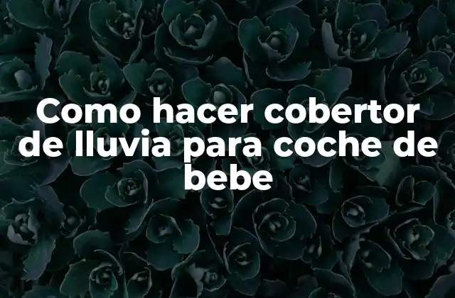 Como Hacer Cobertor de Lluvia para Coche de Bebe