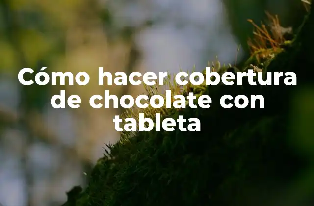 Cómo Hacer Cobertura de Chocolate con Tableta 2 ¿Qué es la cobertura de chocolate con tableta?