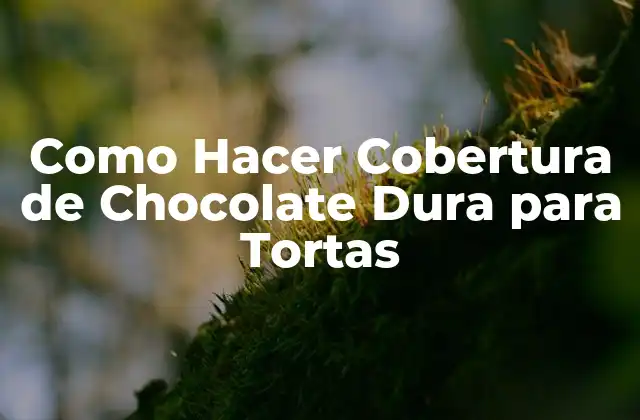 Como Hacer Cobertura de Chocolate Dura para Tortas 2 ¿Qué es la Cobertura de Chocolate Dura y Para Qué Sirve?