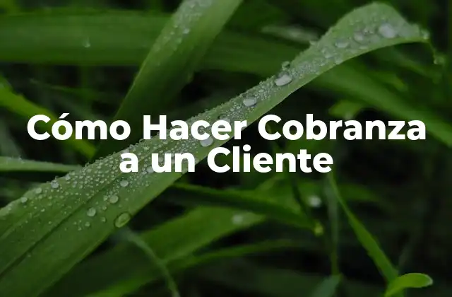 Cómo Hacer Cobranza a un Cliente